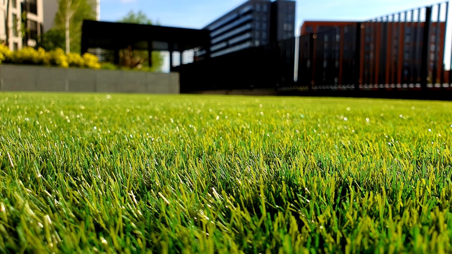 Front lawn refresh project