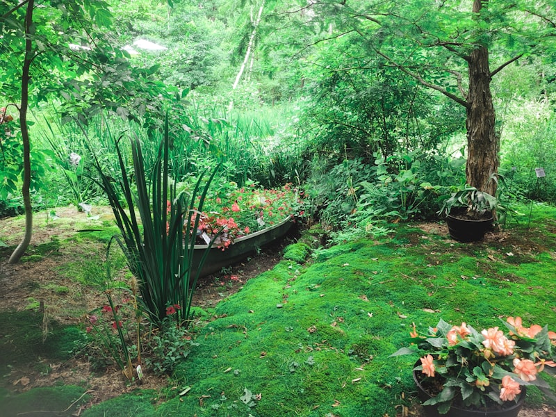 Professional shrub planting